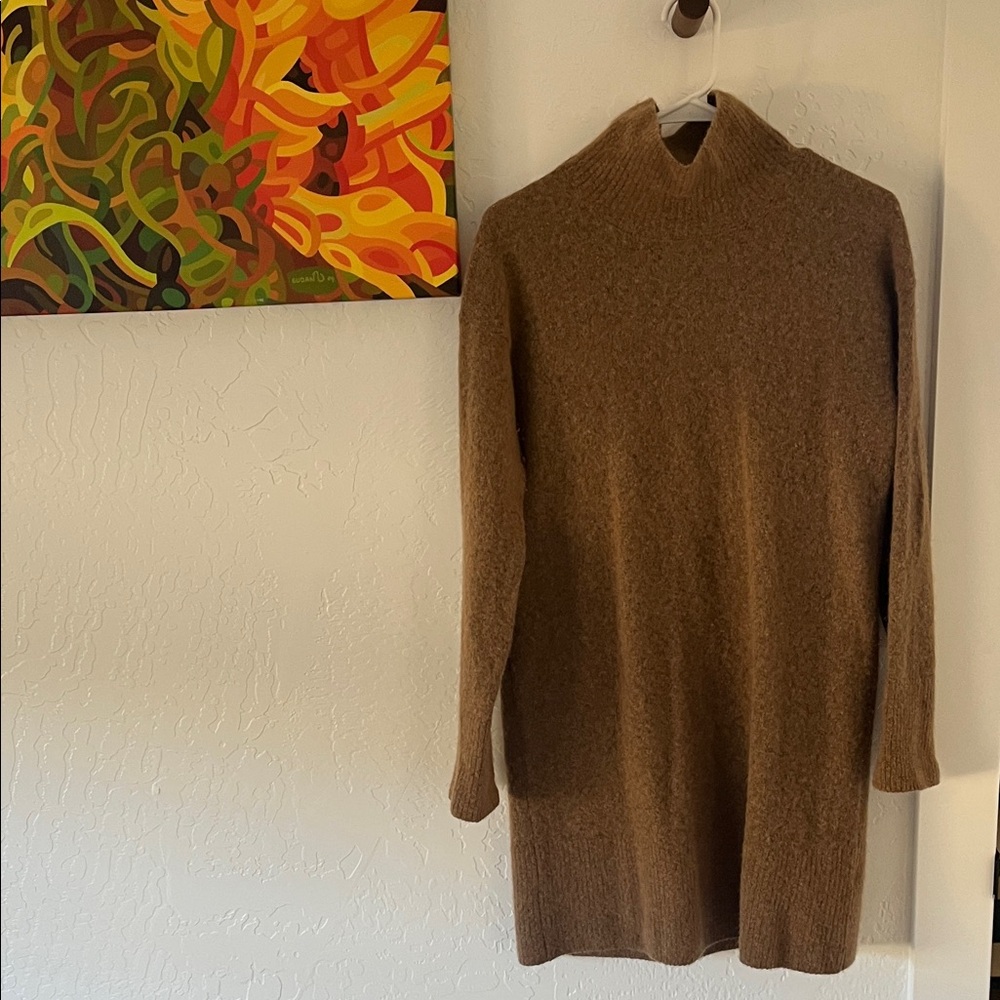 Everlane Tan Knit Sweater Dress